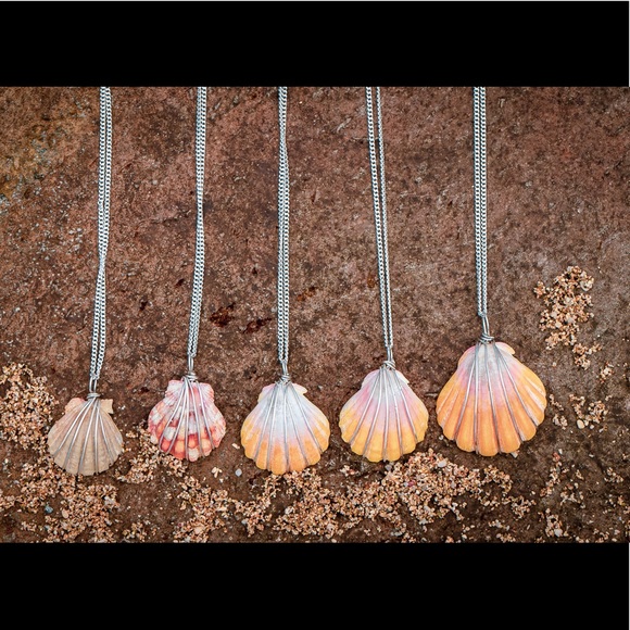 Stunning Freshwater Sunrise shell necklace - Picture 3 of 8